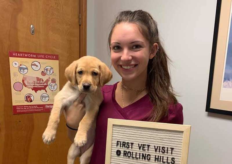 Carousel Slide 3: Columbia Puppy Veterinarian